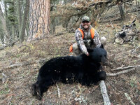Bear 1.jpg