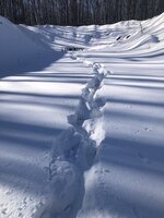 2BB47E7C-6E1F-41B8-A326-FBDFBB53E760.jpeg