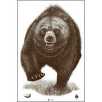 BEAR.jpeg