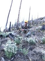 High Hunt 1.JPG High Hunt 1.JPG