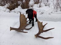 first antler hunt_1-23-22.jpg