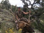 Elk 3.jpg