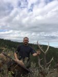 elk 2017b.jpg