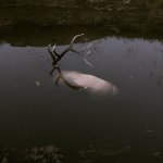 IMG_4346.jpg