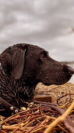 32B3669D-7085-4DFF-87B4-F0E6170E2998.jpeg