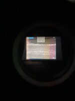 F2400543-6133-4AE1-B199-3A2A08FF6025.jpeg