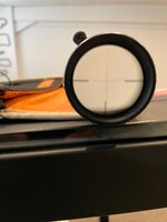 IMG_7279.jpg