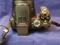 nikon12.png