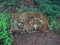 DSCF0190.JPG
