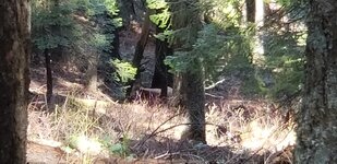 20180420_115820.jpg