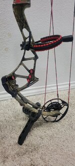 20220311_191358.jpg