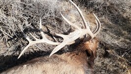 20201124_143235#1.jpg