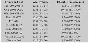 Shotshell primers 1.JPG