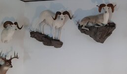 20220114_145551.jpg