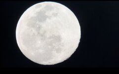 AA24EB55-D2EC-4C9F-88C5-7BE790C11029.jpeg