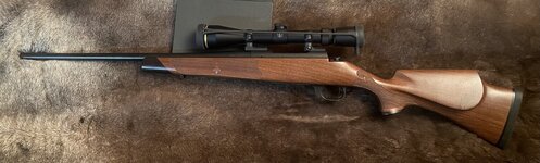 F157C2AD-9536-4C1A-9FE5-6C2D82DB4889.jpeg F157C2AD-9536-4C1A-9FE5-6C2D82DB4889.jpeg