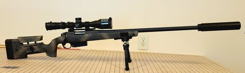 bergara.jpg