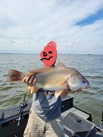20220323_162841.jpg