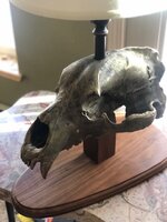 skull lamp.jpg