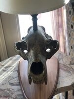 skull lamp 2.jpg
