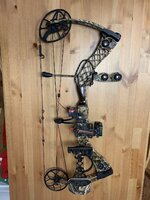 IMG_3487.jpeg