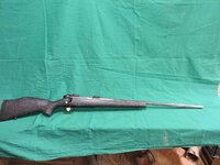 guns - 1 (1).jpg