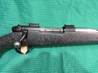 guns - 2 (1).jpg