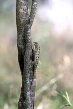 3-IMG_72613.JPG