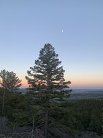 32C28088-A5A5-4C8C-8206-423BB367E67A.jpeg