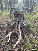 elk sheds.jpg