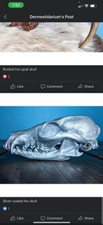 C0EF9D6E-E285-4B02-ADA9-D864CE4E8D9B.jpeg