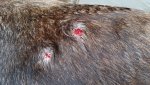 20171005_132516.jpg
