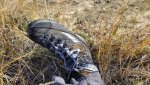 20171016_092359.jpg