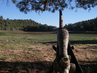 ELK HOLE.JPG ELK HOLE.JPG