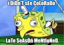 6cfh55.jpg