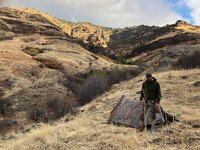 IMG_2466.JPEG IMG_2466.JPEG