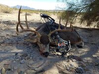 azmuley.jpg