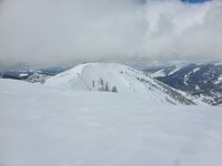 20220417_121954.jpg