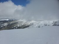 20220417_121951.jpg