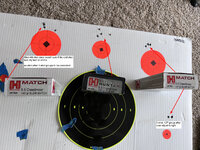 6.5 cm sight in various ammo.jpg