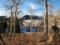 Colorado High Country 2010.jpg