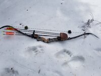 20220408_125744.jpg 20220408_125744.jpg