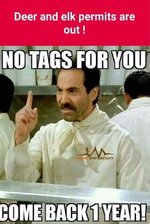 No Tag.jpg