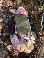 1650550929444.jpeg 1650550929444.jpeg