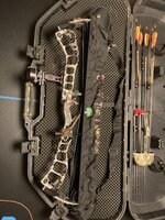 IMG_2344.jpeg