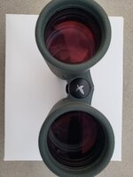 20220425_201050.jpg
