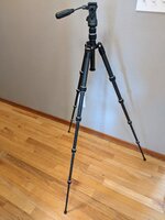 PXL_20220428_185419560.jpg