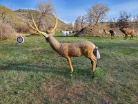 20220501_071949.jpg