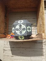 20220501_092656.jpg