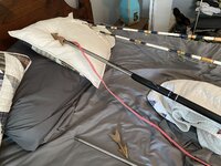 1BEFABB9-4C0C-4BA4-8997-06F3FCEDA179.jpeg